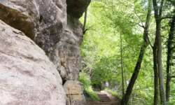 Wozu Felsen gut sind Wozu Felsen gut sind