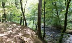 Wanderweg Muellertrail Wanderweg Muellertrail