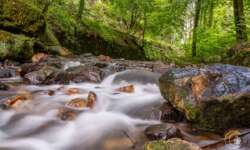 Fotospots entlang der schwarzen Enz Fotospots entlang der schwarzen Enz