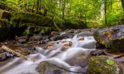 entlang der schwarzen Enz entlang der schwarzen Enz
