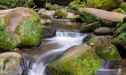 Die Schwarze Enz Die Schwarze Enz