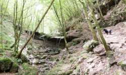 Tolle Natur entlang des Römerpfads Tolle Natur entlang des Römerpfads