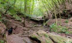 Eine der sieben Wasserfälle im Butzerbachtal Eine der sieben Wasserfälle im Butzerbachtal