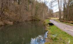 Kleine Tümpel im Tal Kleine Tümpel im Tal