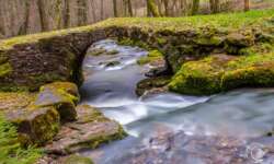 die alte Brücke im Katzenbachtal die alte Brücke im Katzenbachtal