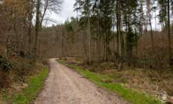 Wanderweg Wanderweg