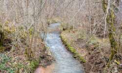 Der Katzenbach Der Katzenbach