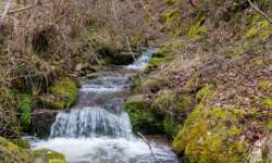 Bachläufe im Katzenbachtal Bachläufe im Katzenbachtal
