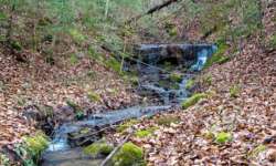 Immer wieder kleine Wasserfälle Immer wieder kleine Wasserfälle