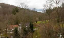 Blick auf das Forsthaus