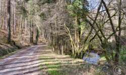 Spaziergang am Bach