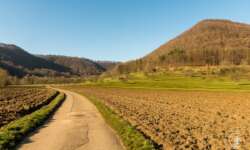 Wanderweg ins Autal zur Märzenbecherblüte Wanderweg ins Autal zur Märzenbecherblüte