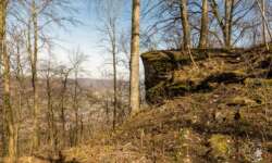 Burg Bühringen Burg Bühringen