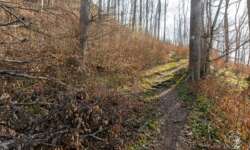 Tolle Wanderwege Tolle Wanderwege
