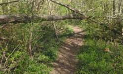 Verschlungene Zugangswege Verschlungene Zugangswege