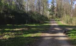 Kaum erkennbare Bunker Kaum erkennbare Bunker