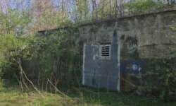 Fledermausbunker Fledermausbunker