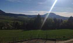 Blick vom Bunkerwald Blick vom Bunkerwald