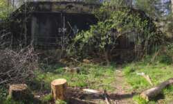 eingewachsener Bunker eingewachsener Bunker