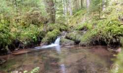 kleiner See mit Wasserfall