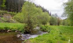 Die Teinach Die Teinach