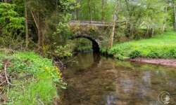 Die Brücke über die Teinach Die Brücke über die Teinach