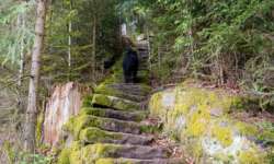 Stufen Teil 1 Stufen Teil 1