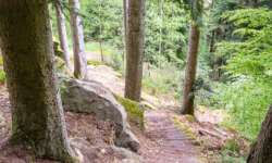 Blick zurück Blick zurück