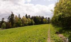 Auf der Hochfläche Auf der Hochfläche