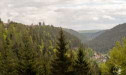 Blick zur Burg Blick zur Burg