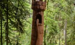 Waldkunst Waldkunst