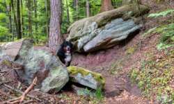 Felsenland Schwarzwald Felsenland Schwarzwald