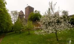 Blick zurück auf die Burg Zavelstein Blick zurück auf die Burg Zavelstein