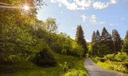 Auf den Regen folgt Sonne Auf den Regen folgt Sonne