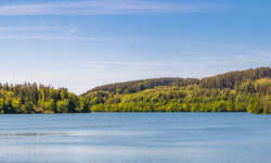 Schweden in Deutschland Schweden in Deutschland