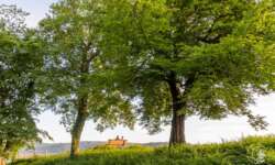 Romantisch in Arnsberg Romantisch in Arnsberg