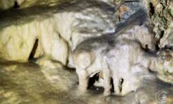 Auch Details sind wunderschön Auch Details sind wunderschön