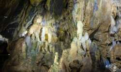 Einige Stalagniten Einige Stalagniten