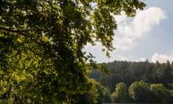 Sommersonne Sommersonne