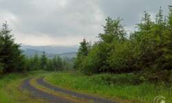 In jeder Kurve ein neuer Blick In jeder Kurve ein neuer Blick