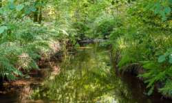 Außerhalb des Hotspots - Ruhe pur Außerhalb des Hotspots - Ruhe pur