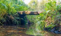kleine Felsbrücke kleine Felsbrücke
