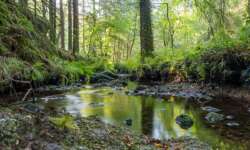 Stille Wasser sind nicht immer tief Stille Wasser sind nicht immer tief