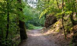 Wandern vom Feinsten Wandern vom Feinsten