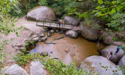 Der Wildschweintümpel von oben Der Wildschweintümpel von oben