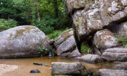 Am Wildschweintümpel Am Wildschweintümpel