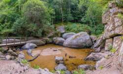 Der einsame Wildschweintümpel Der einsame Wildschweintümpel