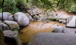 Und noch mal Wildschweintümpel Und noch mal Wildschweintümpel