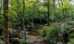 Am Silberbach Am Silberbach