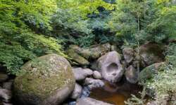 Kein Durchkomme Kein Durchkommen